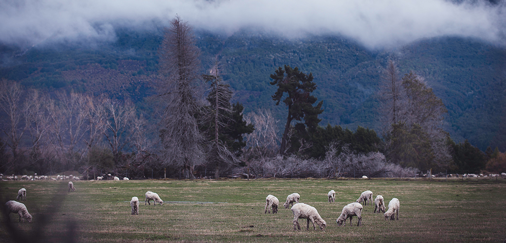 Glenorchy